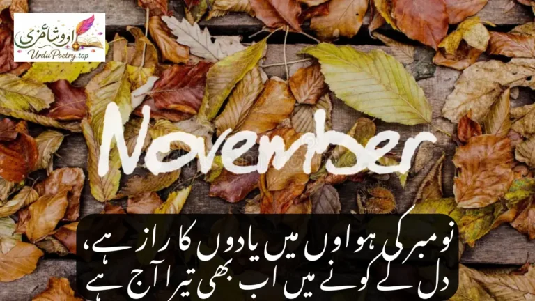 November Poetry in Urdu