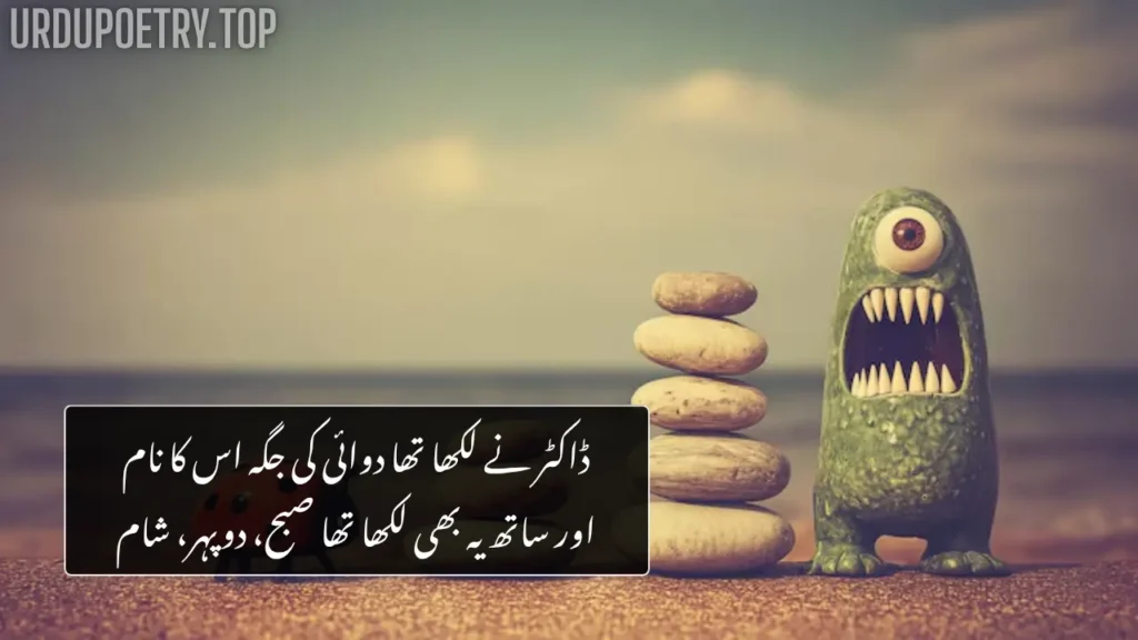 Funny Poetry in Urdu