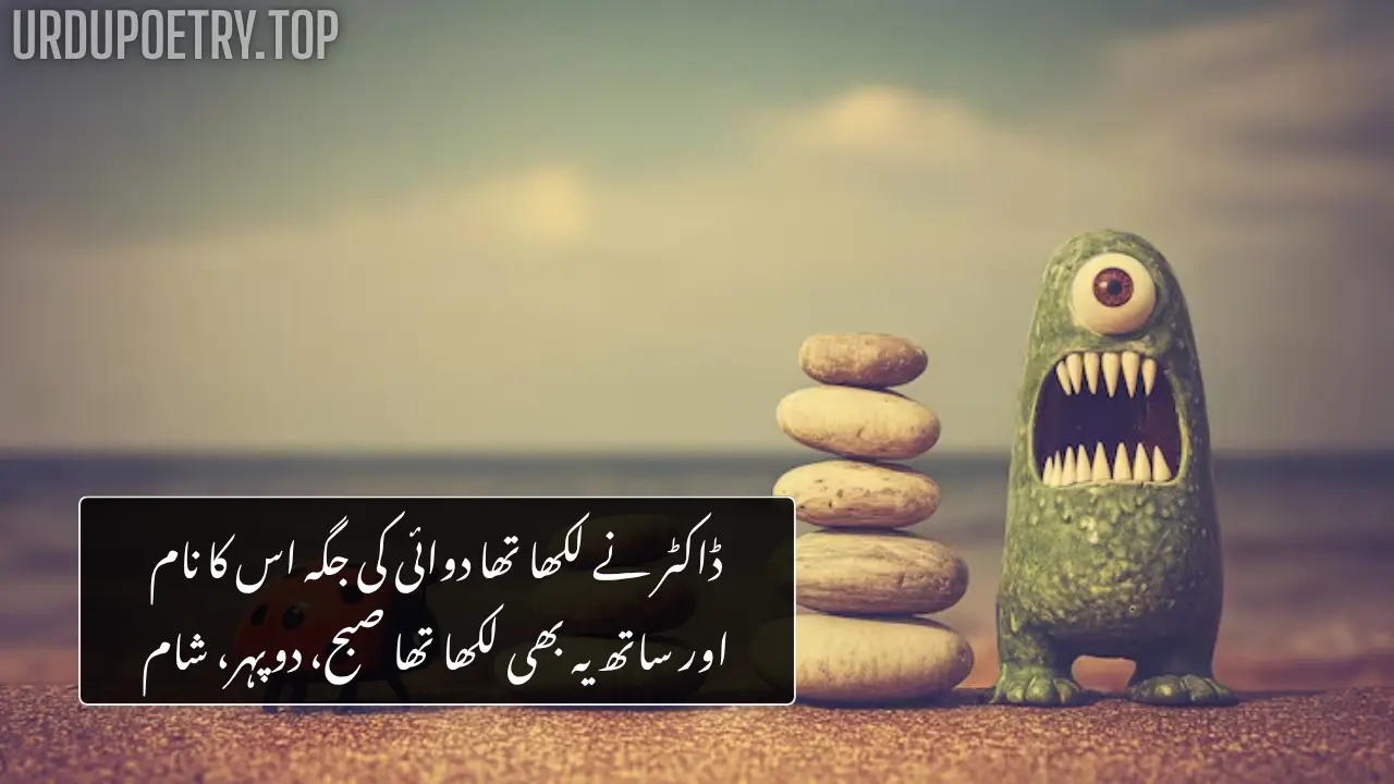Funny Poetry in Urdu